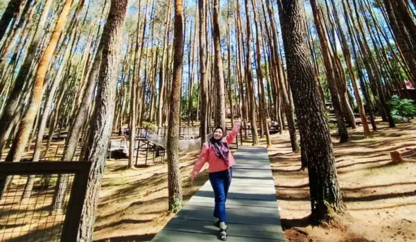 paket-wisata-private-tour-3-hari